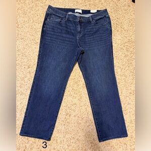 LANE BRYANT JEANS